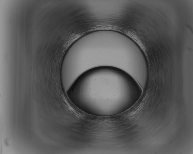 X0000094920433200711291026