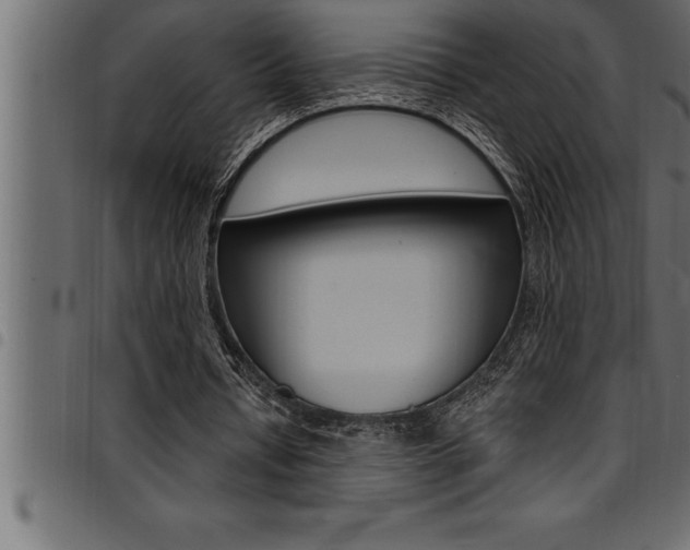 X0000094920434200711291026