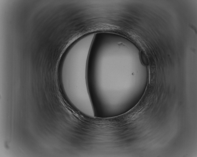 X0000094920435200711291026