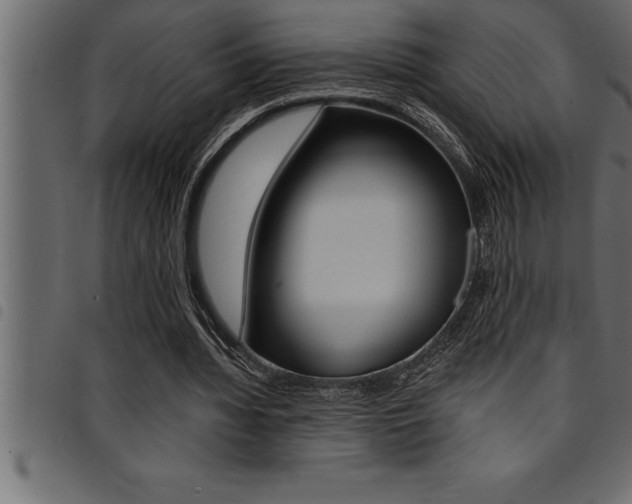 X0000094920436200711291026