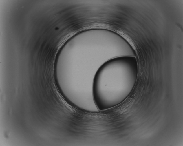 X0000094920437200711291026