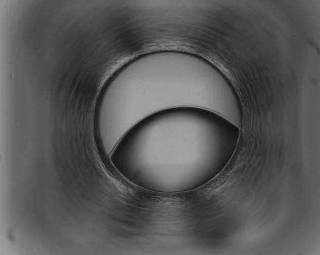 X0000094920438200711291026
