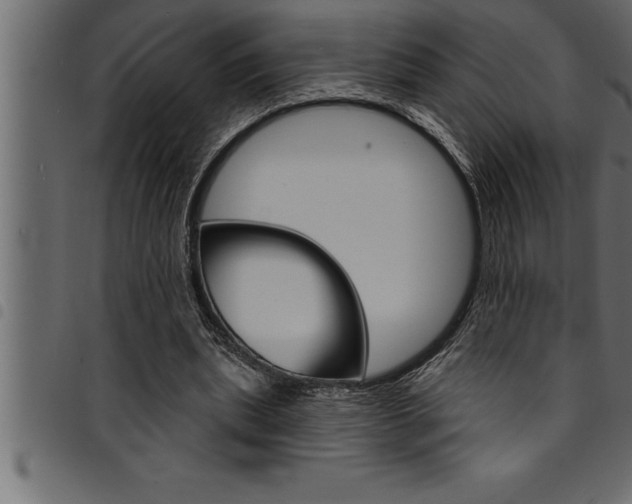 X0000094920439200711291026