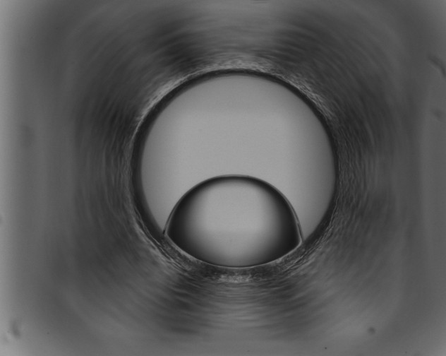 X0000094920440200711291026