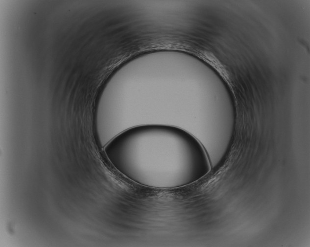 X0000094920441200711291026