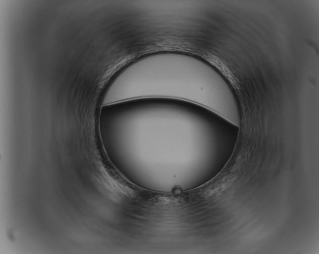 X0000094920442200711291026