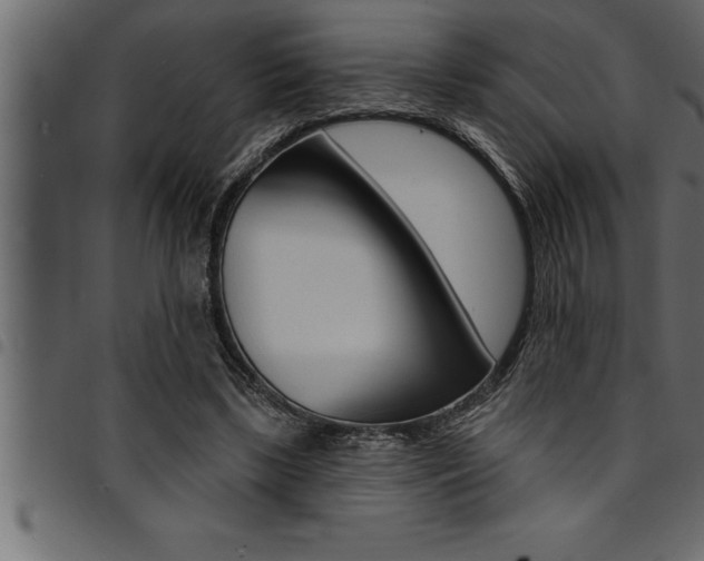 X0000094920443200711291026