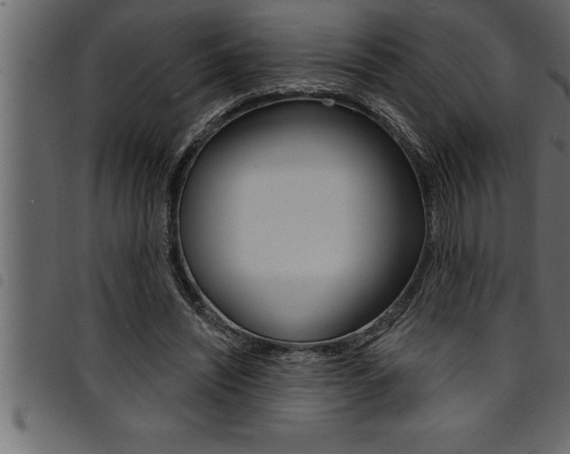 X0000094920444200711291026
