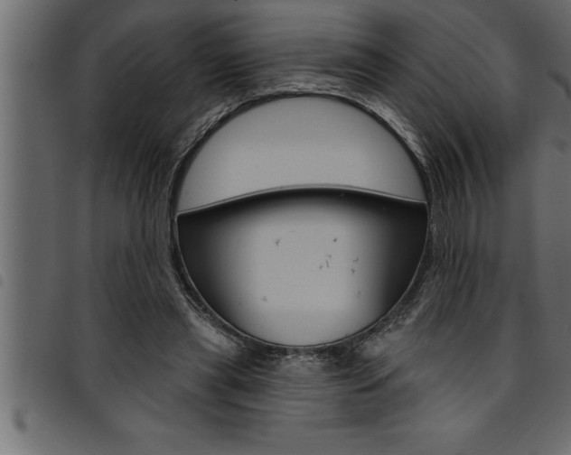 X0000094920445200711291026