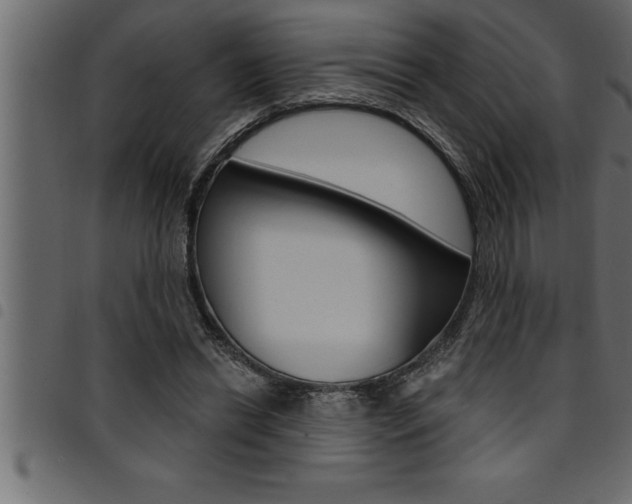 X0000094920446200711291026