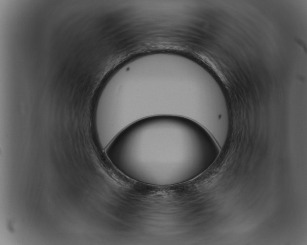 X0000094920447200711291026