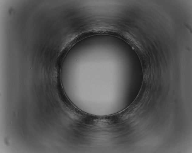 X0000094920448200711291026
