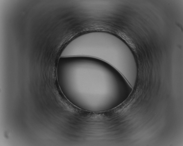 X0000094920449200711291026