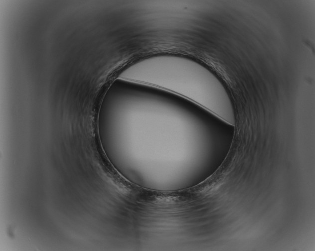 X0000094920450200711291026