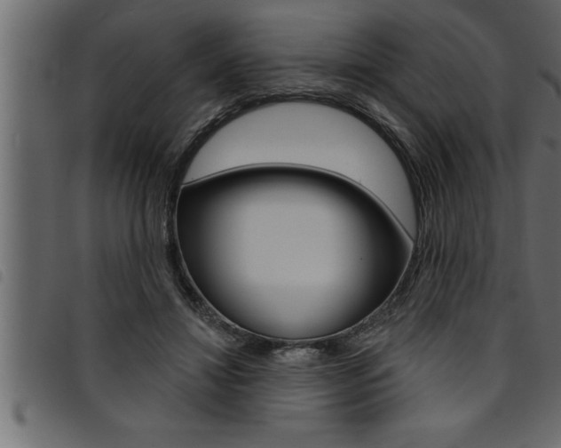 X0000094920452200711291026