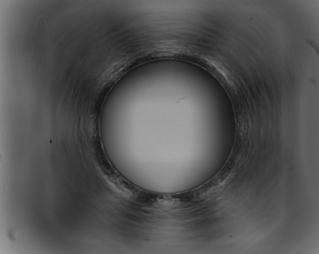 X0000094920455200711291026