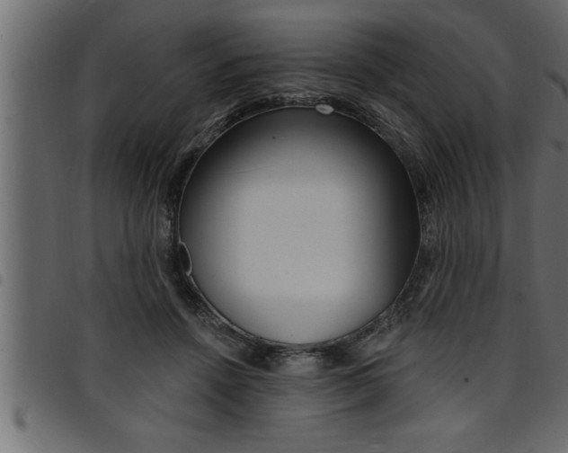 X0000094920456200711291026