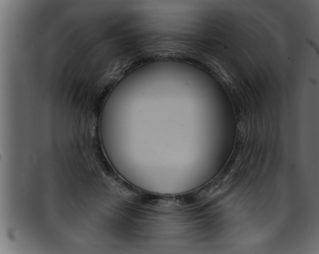 X0000094920458200711291026