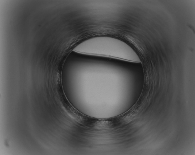 X0000094920459200711291026