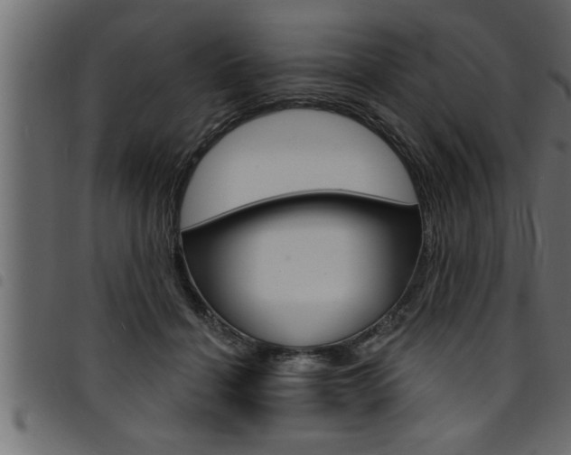 X0000094920460200711291026