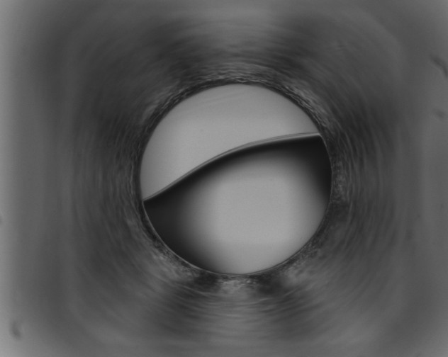 X0000094920461200711291026