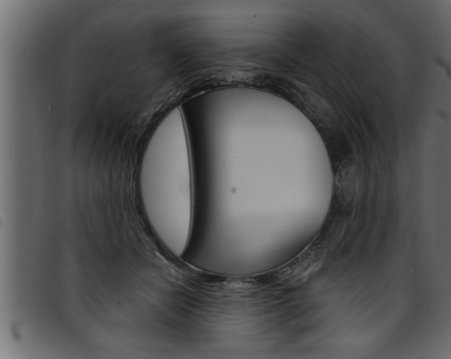 X0000094920462200711291026