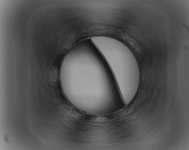X0000094920463200711291026
