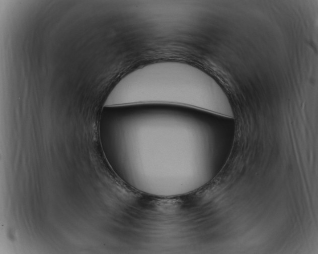 X0000094920465200711291026