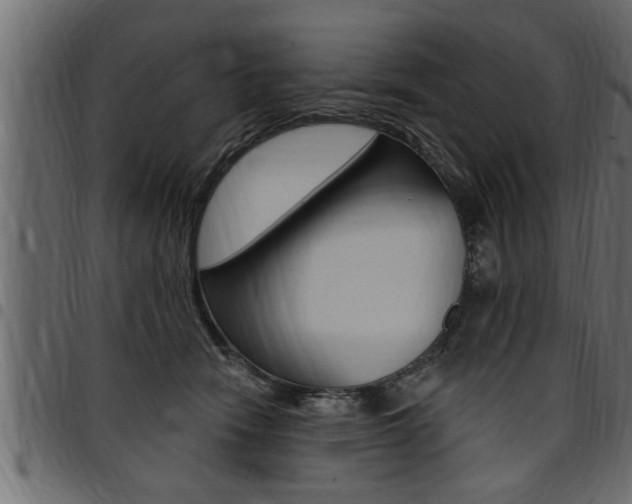 X0000094920466200711291026