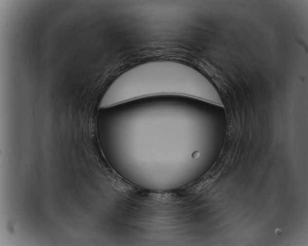 X0000094920469200711291026