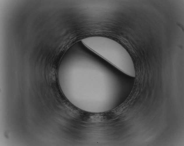 X0000094920470200711291026