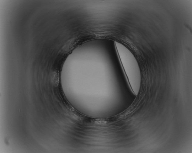 X0000094920471200711291026