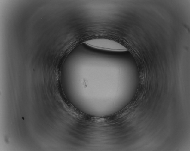 X0000094920472200711291026