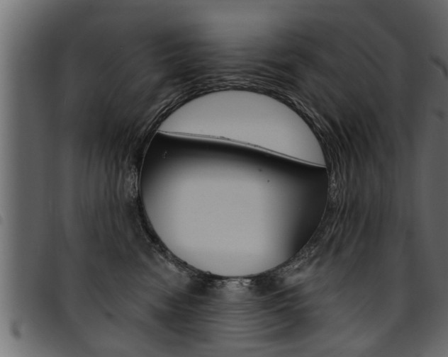 X0000094920474200711291026