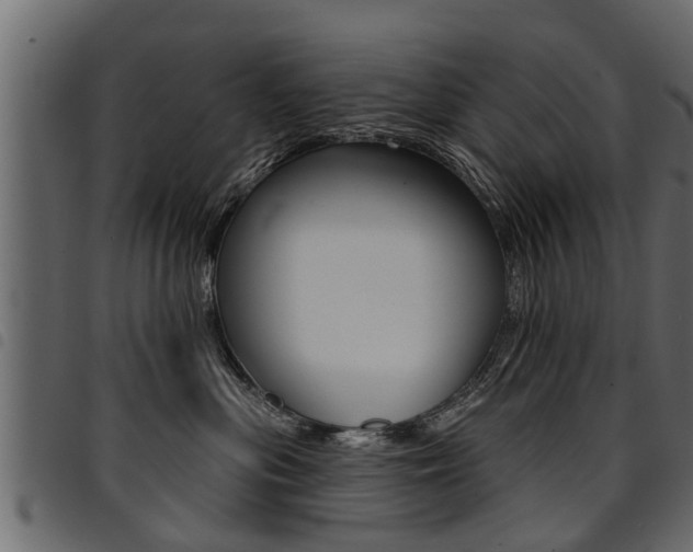 X0000094920477200711291026