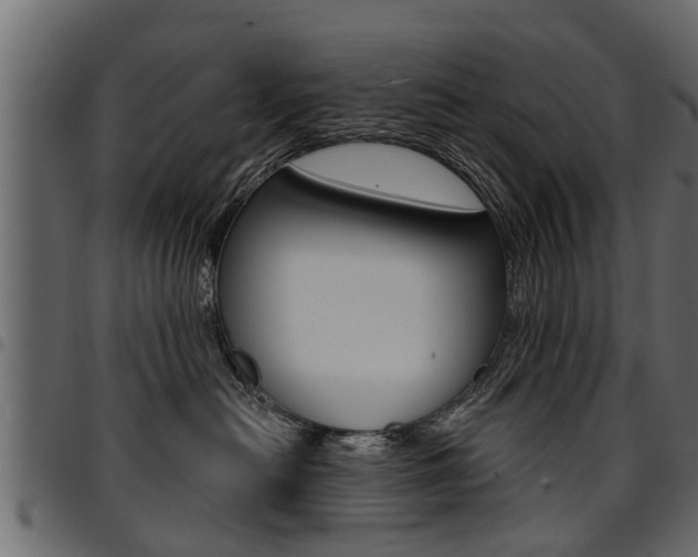 X0000094920478200711291026