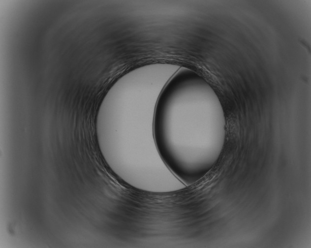 X0000094920479200711291026