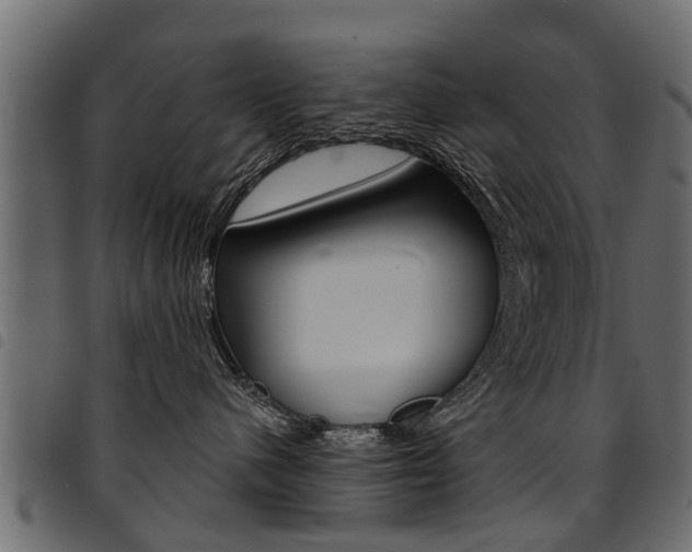 X0000094920480200711291027