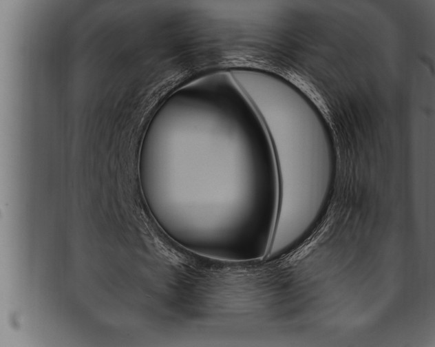 X0000094920481200711291026