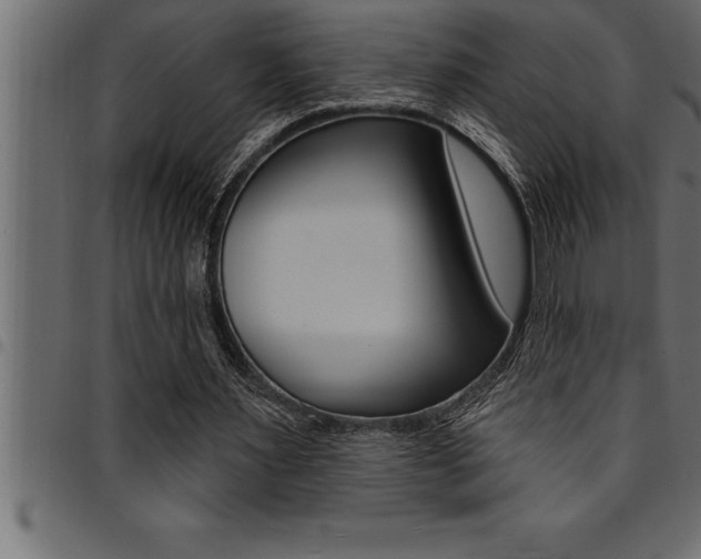 X0000094920483200711291026