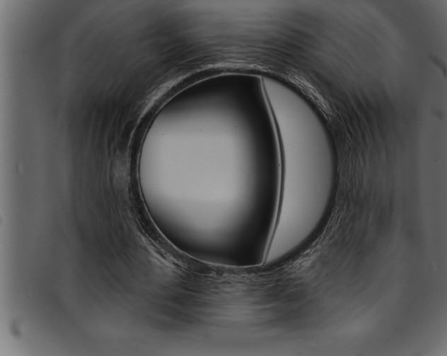X0000094920484200711291026