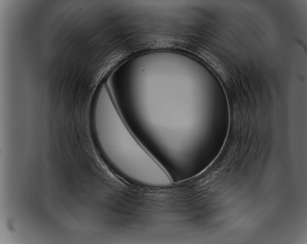 X0000094920485200711291026
