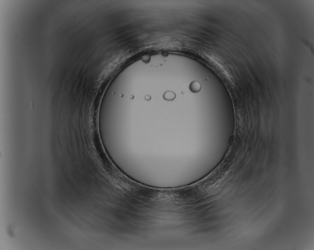 X0000094920487200711291026