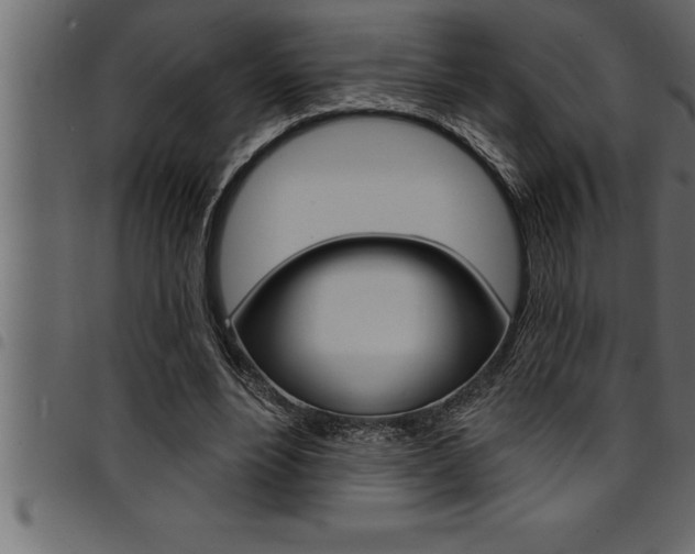 X0000094920488200711291026