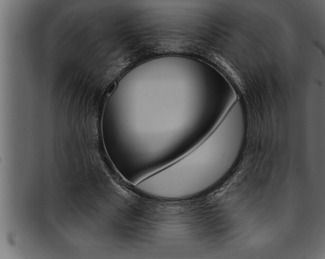 X0000094920489200711291026