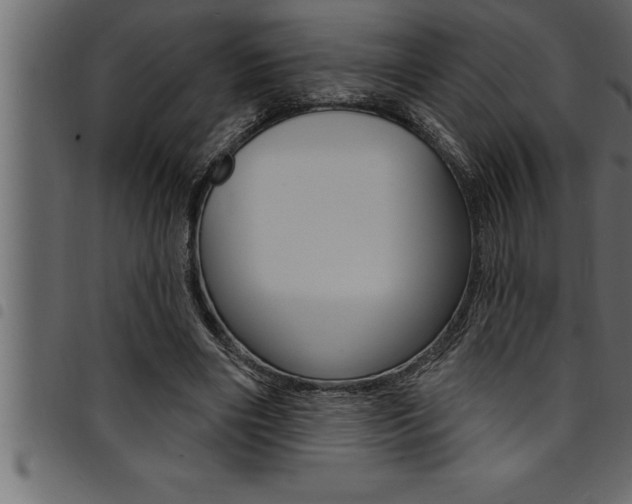 X0000094920490200711291026