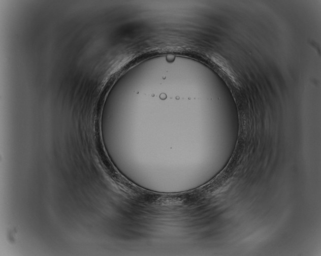 X0000094920491200711291026