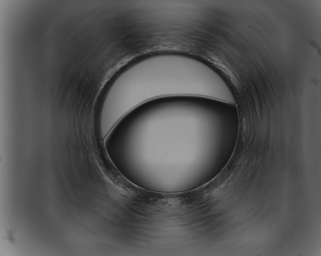 X0000094920492200711291026