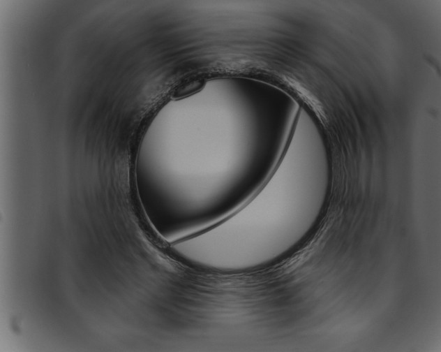 X0000094920493200711291026