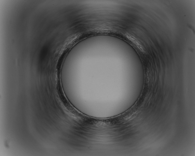 X0000094920494200711291026